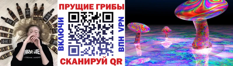 Псилоцибиновые грибы мухоморы  где купить наркоту  Белоусово 